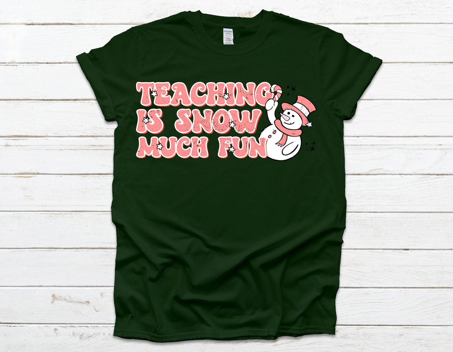 Teaching Is Snow Much Fun