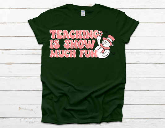 Teaching Is Snow Much Fun