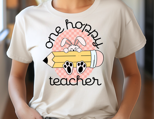 One Hoppy Teacher